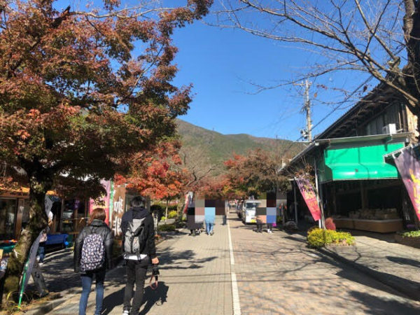 谷汲山華厳寺 紅葉の名所のもみじを見てきた 画像あり ぎふのススメ