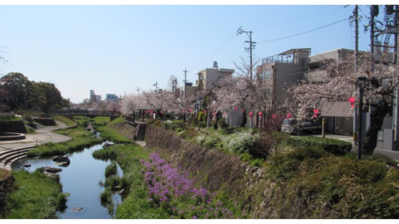 岐阜駅から歩いていける桜のお花見スポットをご紹介 ぎふのススメ