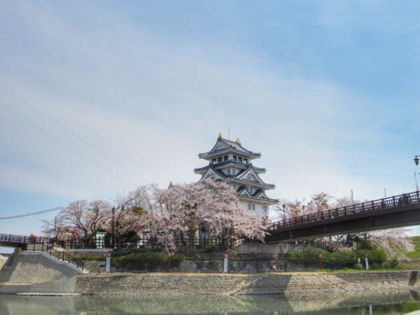 岐阜墨俣一夜城 桜景色 お城の中やアクセス情報 ぎふのススメ