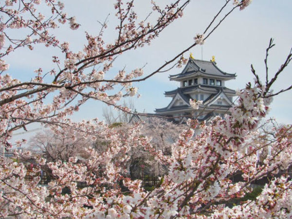 岐阜墨俣一夜城 桜景色 お城の中やアクセス情報 ぎふのススメ