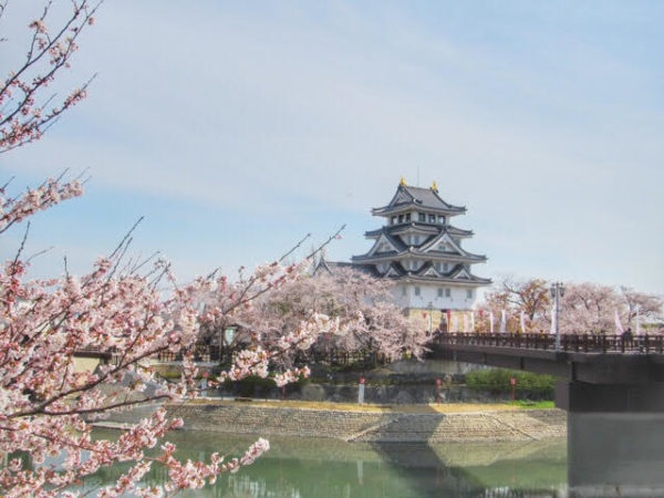 岐阜墨俣一夜城 桜景色 お城の中やアクセス情報 ぎふのススメ