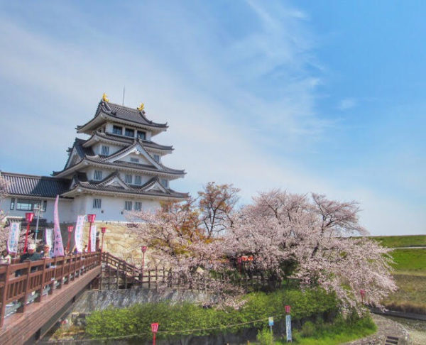 岐阜墨俣一夜城 桜景色 お城の中やアクセス情報 ぎふのススメ