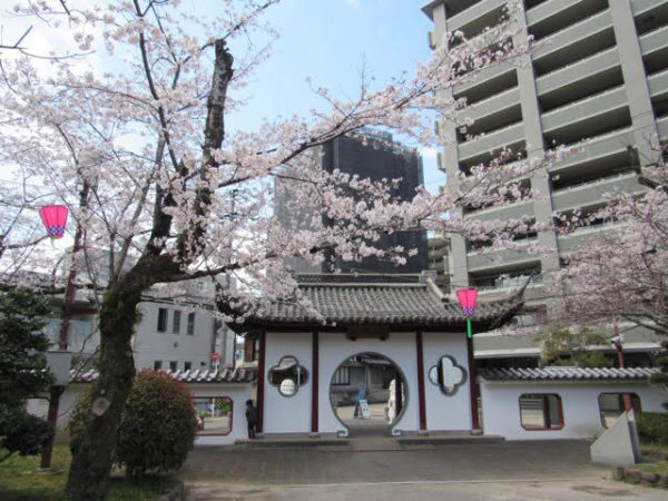 岐阜公園周辺の桜スポット ゆっくり散歩 無料駐車場情報もあり ぎふのススメ