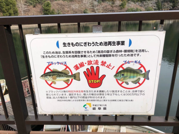 伊自良湖 釣り初心者がわかさぎ釣りに挑戦 自然を感じながら時を忘れて 岐阜県山県市 ぎふのススメ
