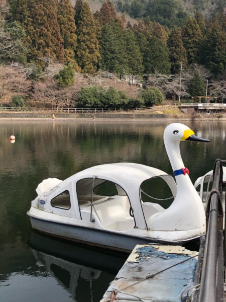 伊自良湖 釣り初心者がわかさぎ釣りに挑戦 自然を感じながら時を忘れて 岐阜県山県市 ぎふのススメ