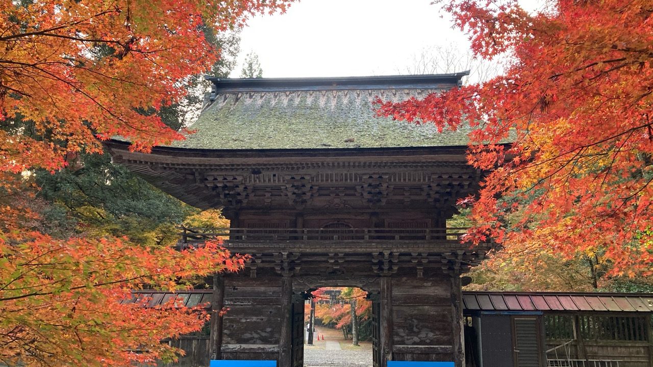 大矢田神社もみじ谷 岐阜県美濃市の紅葉の名所に行ってきた ぎふのススメ